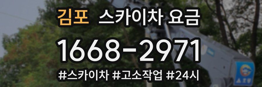 김포 스카이차 요금
