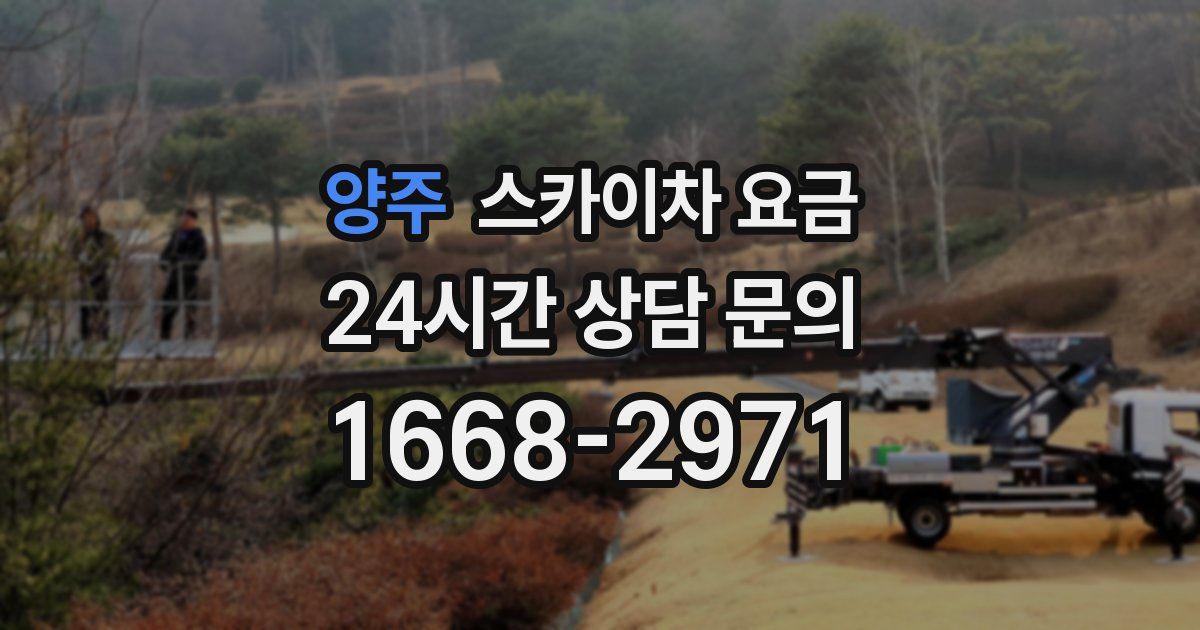 양주 스카이차 요금