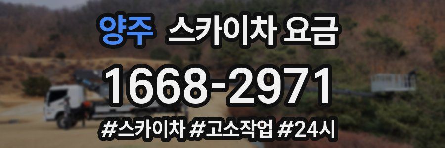 양주 스카이차 요금