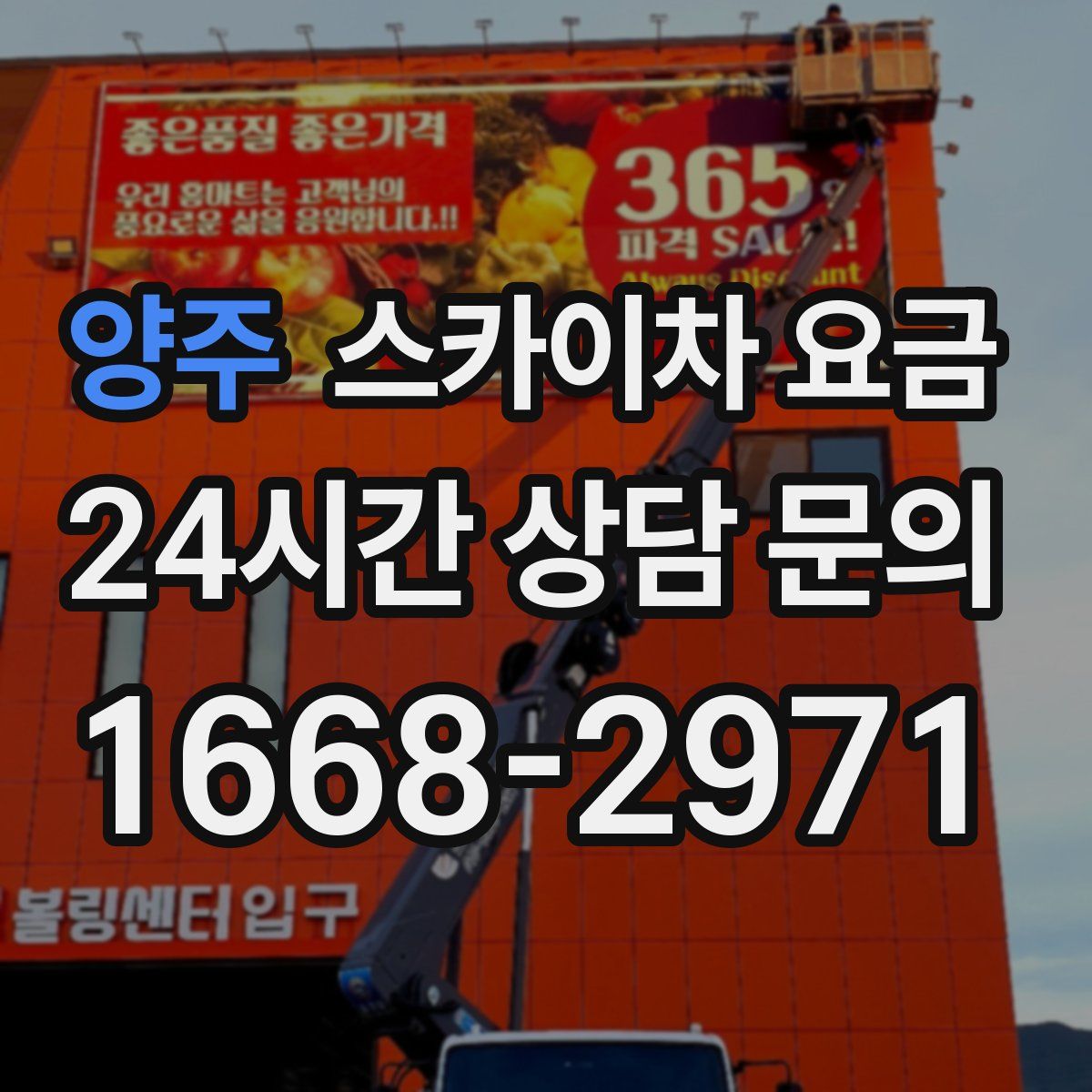 양주 스카이차 요금