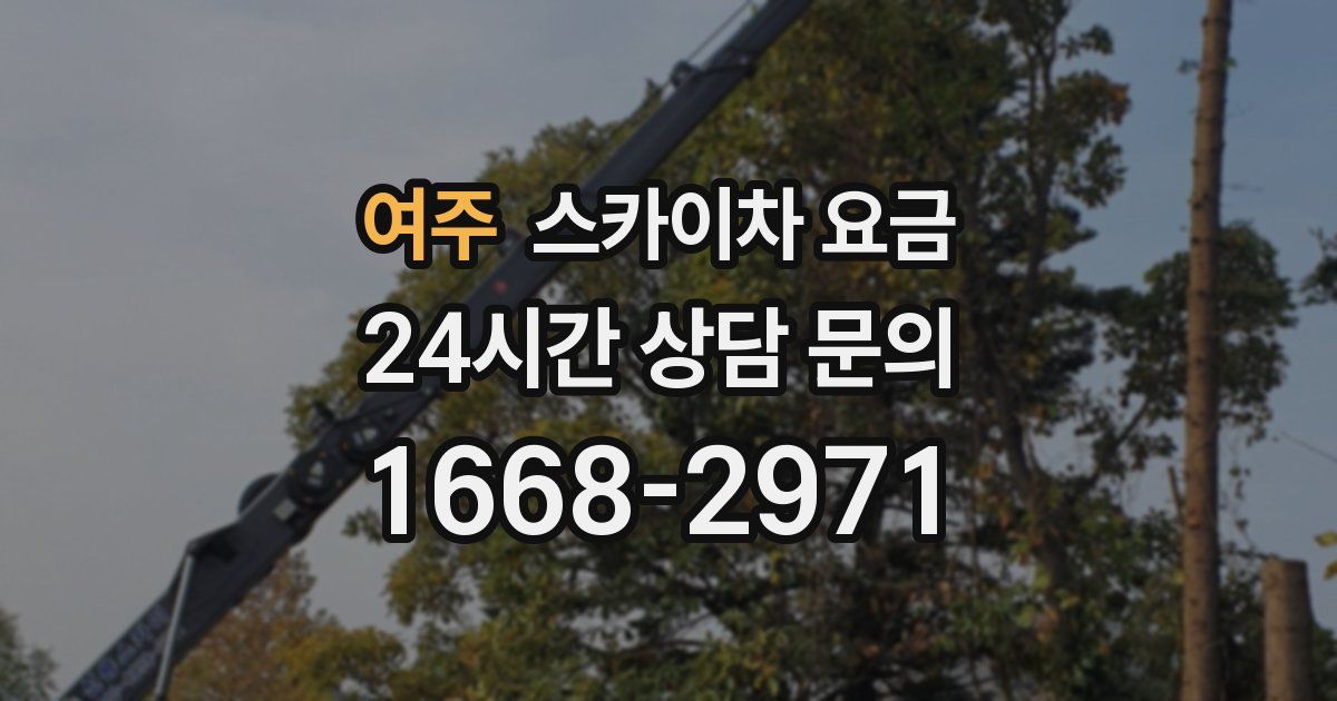 여주 스카이차 요금