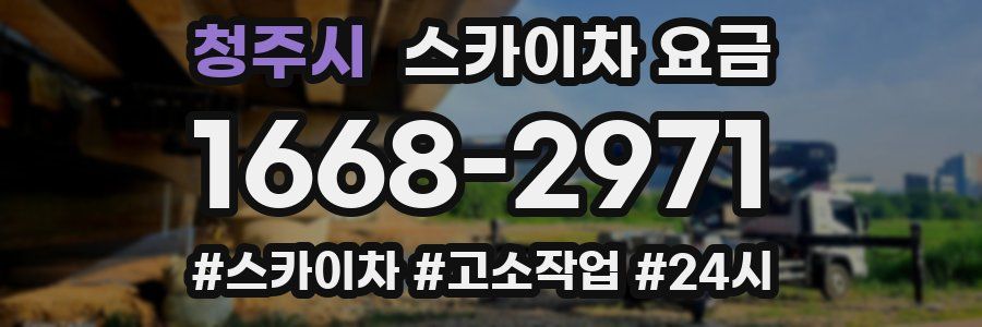 청주시 스카이차 요금