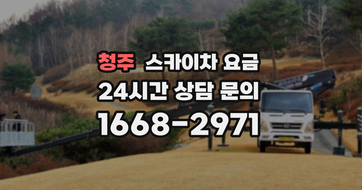 청주 스카이차 요금