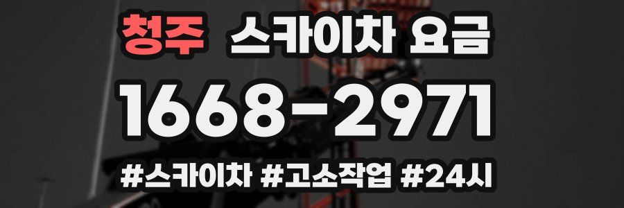 청주 스카이차 요금