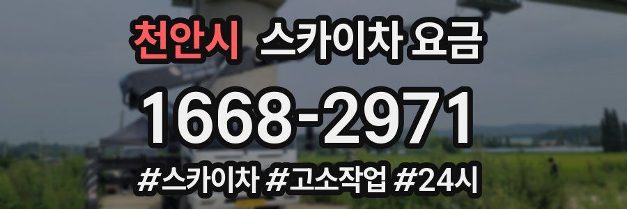 천안시 스카이차 요금