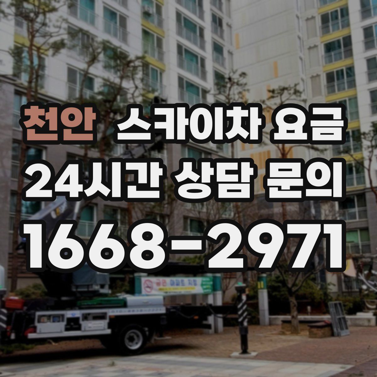 천안 스카이차 요금