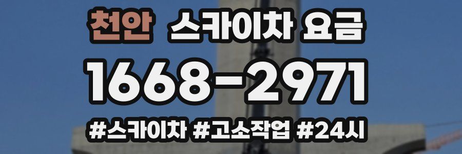 천안 스카이차 요금