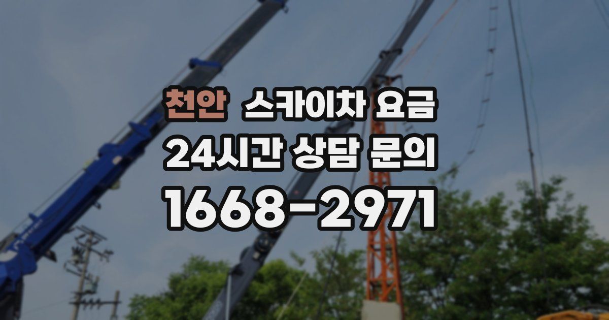 천안 스카이차 요금