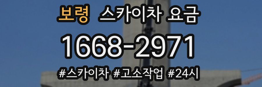 보령 스카이차 요금