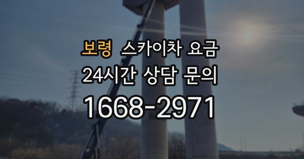 보령 스카이차 요금