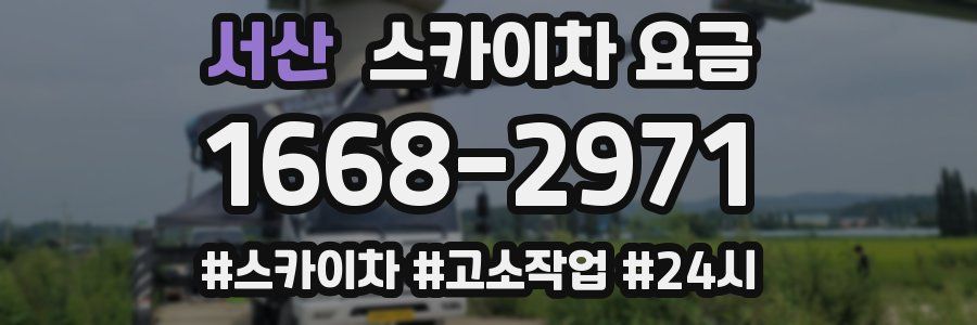 서산 스카이차 요금