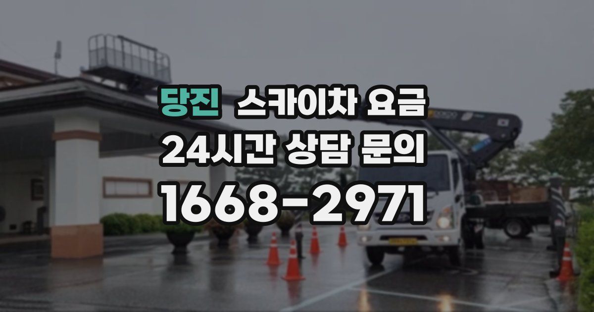 당진 스카이차 요금
