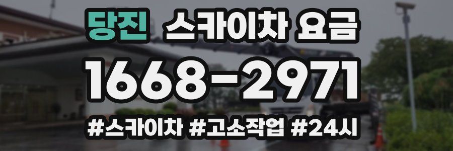 당진 스카이차 요금