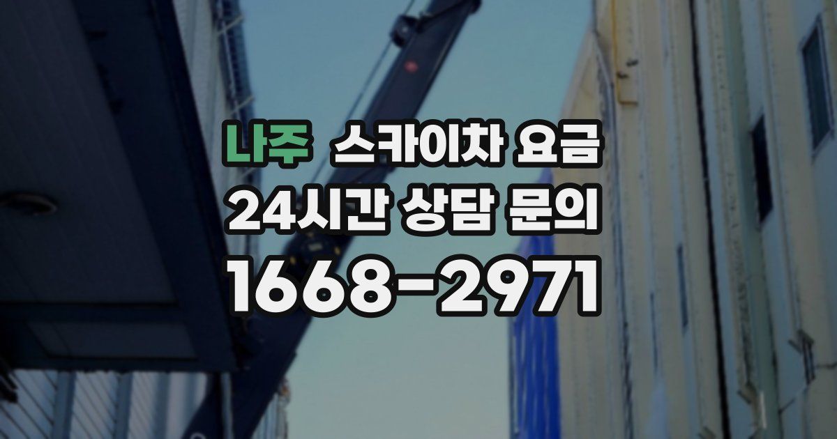 나주 스카이차 요금