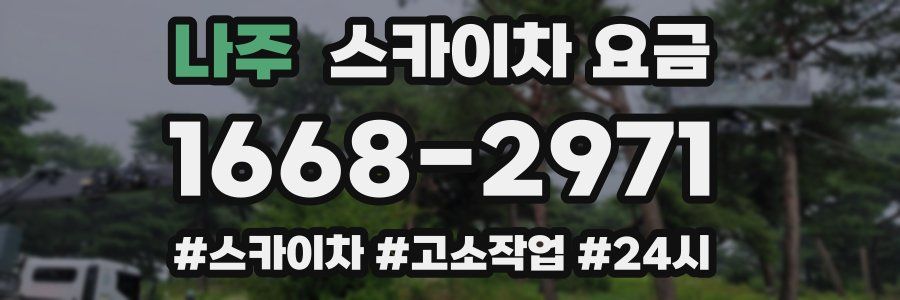 나주 스카이차 요금