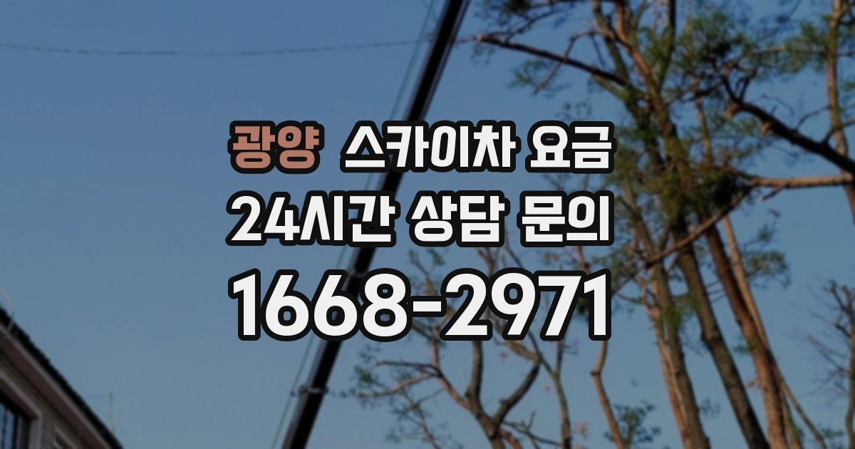 광양 스카이차 요금