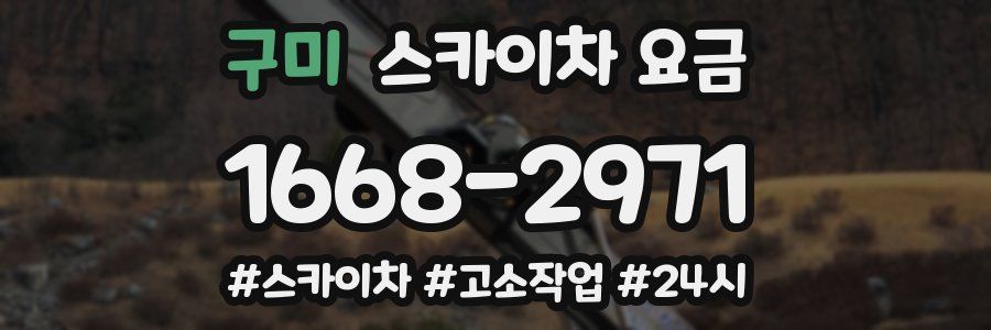 구미 스카이차 요금