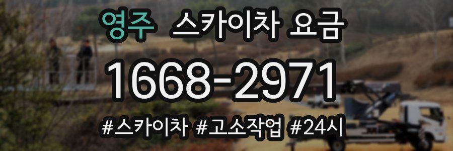 영주 스카이차 요금