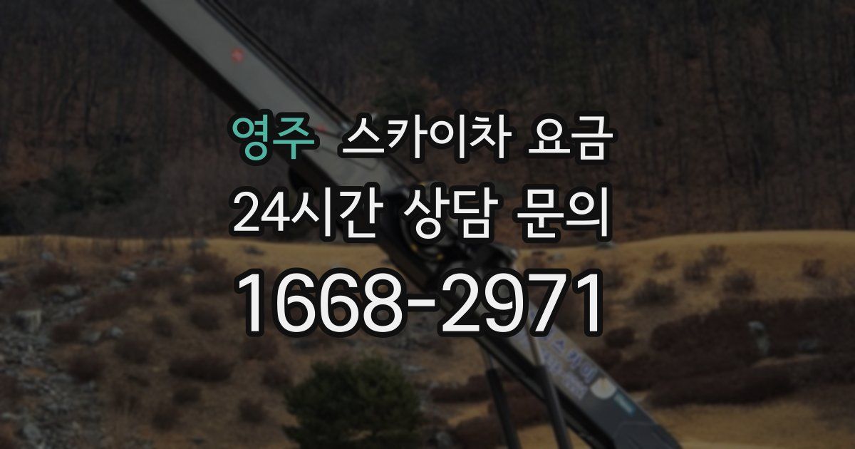 영주 스카이차 요금