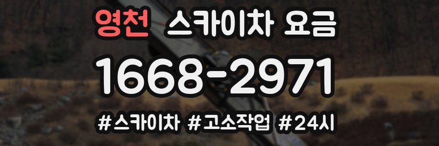 영천 스카이차 요금