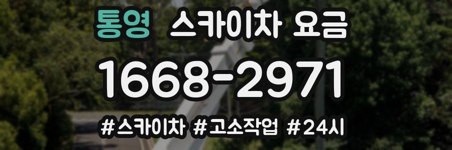 통영 스카이차 요금