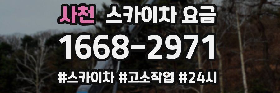 사천 스카이차 요금