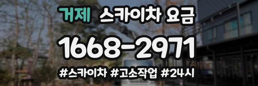 거제 스카이차 요금