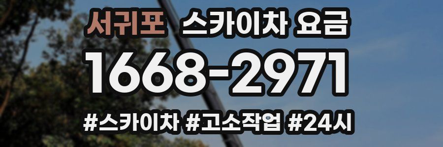 서귀포 스카이차 요금