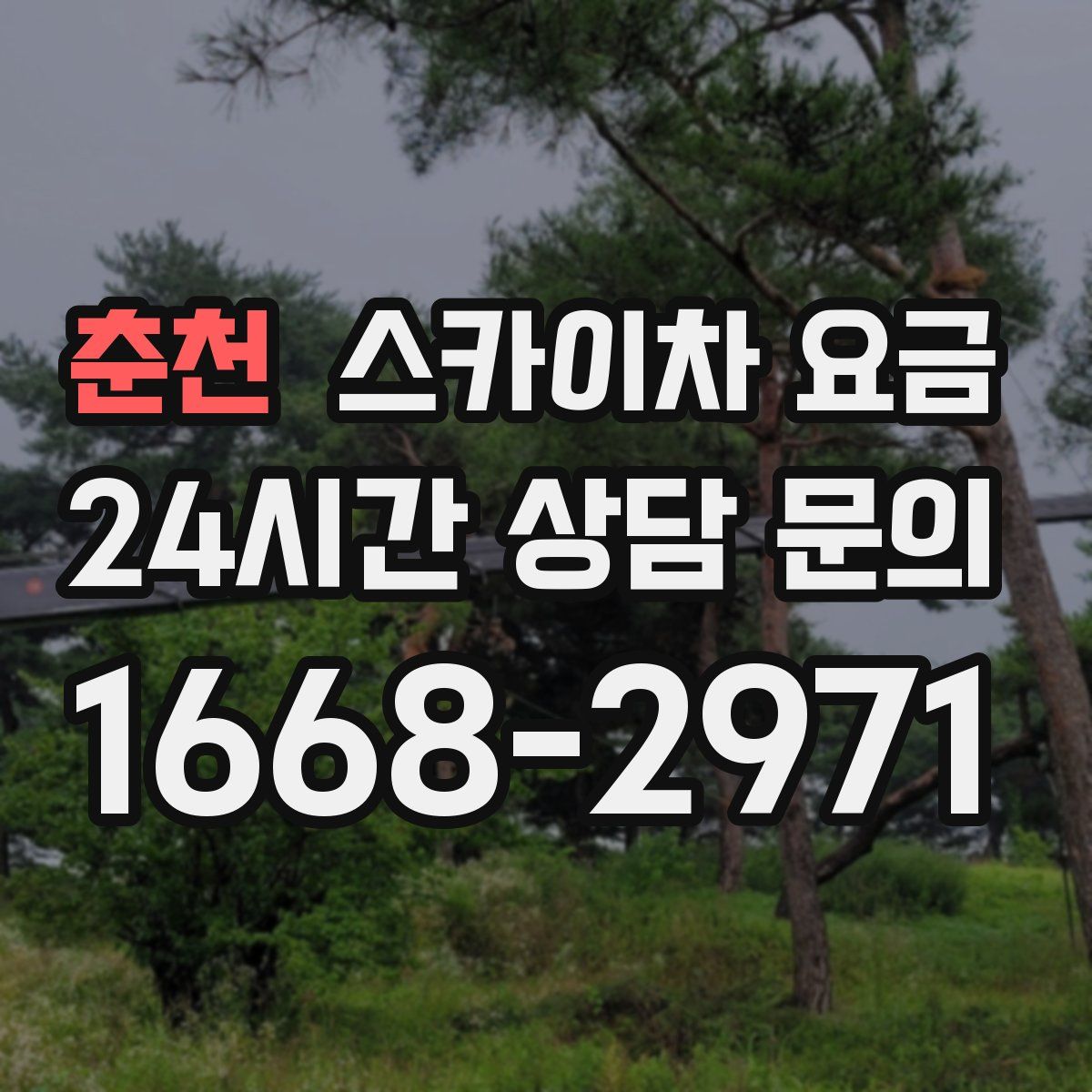춘천 스카이차 요금