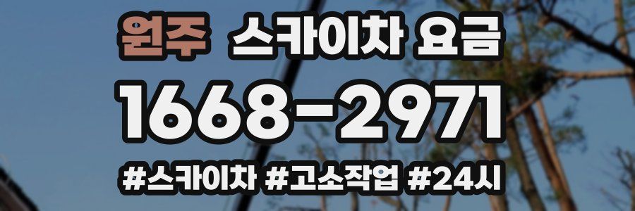 원주 스카이차 요금