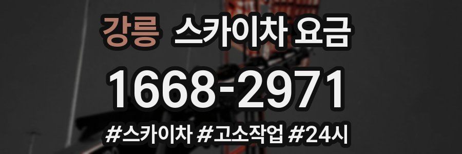 강릉 스카이차 요금