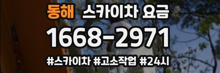 동해 스카이차 요금