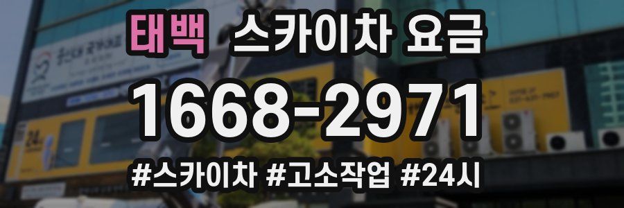 태백 스카이차 요금