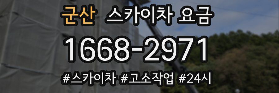 군산 스카이차 요금