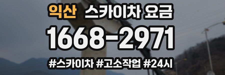 익산 스카이차 요금