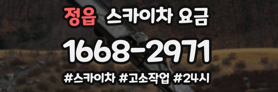 정읍 스카이차 요금