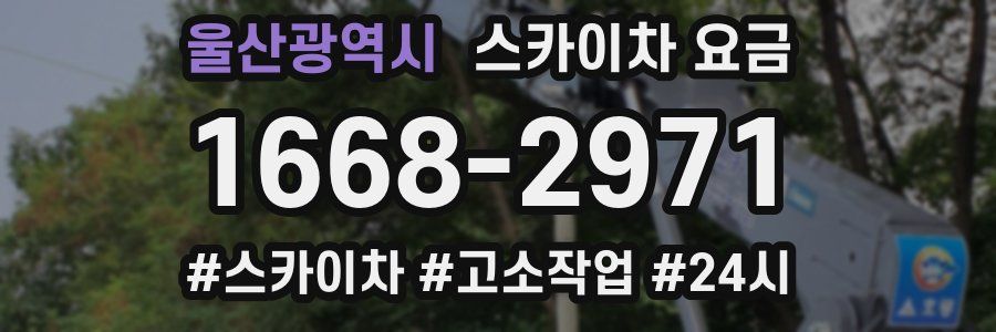 울산광역시 스카이차 요금