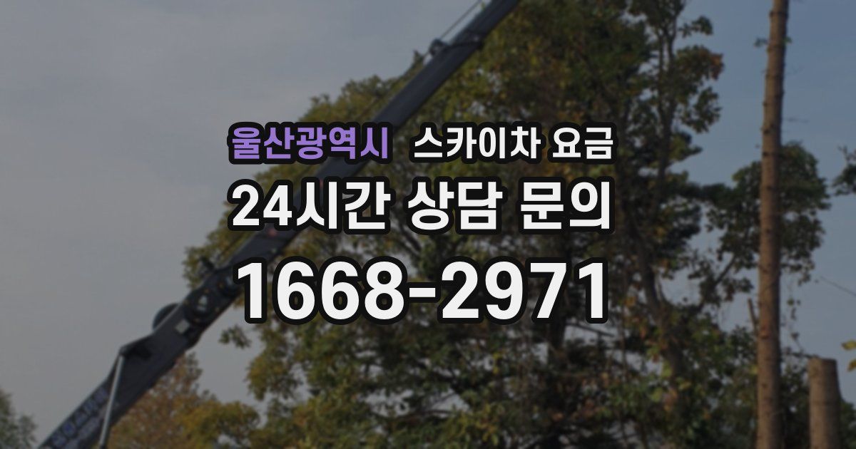 울산광역시 스카이차 요금