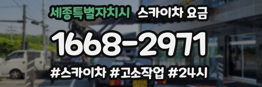 세종특별자치시 스카이차 요금