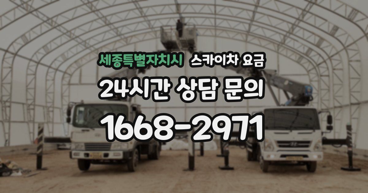 세종특별자치시 스카이차 요금