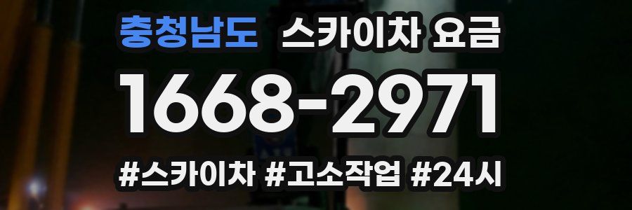 충청남도 스카이차 요금