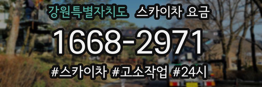 강원특별자치도 스카이차 요금