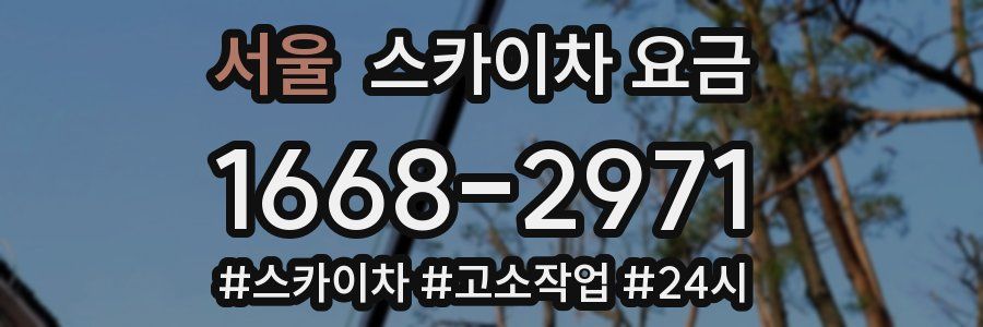 서울 스카이차 요금