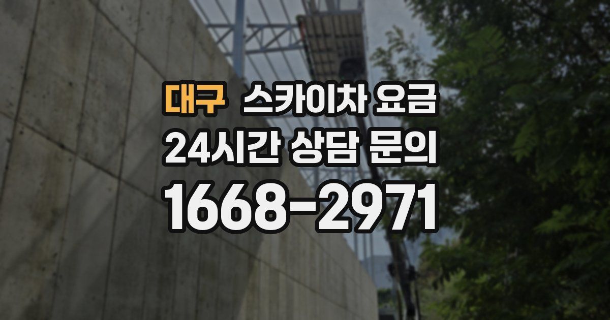 대구 스카이차 요금
