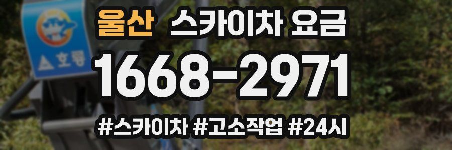 울산 스카이차 요금