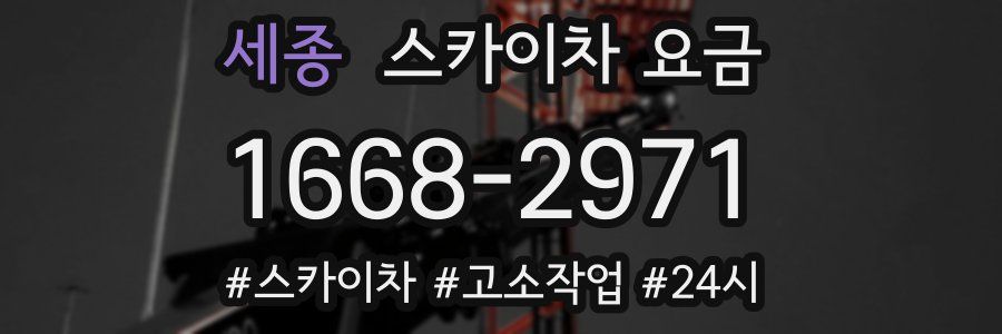 세종 스카이차 요금