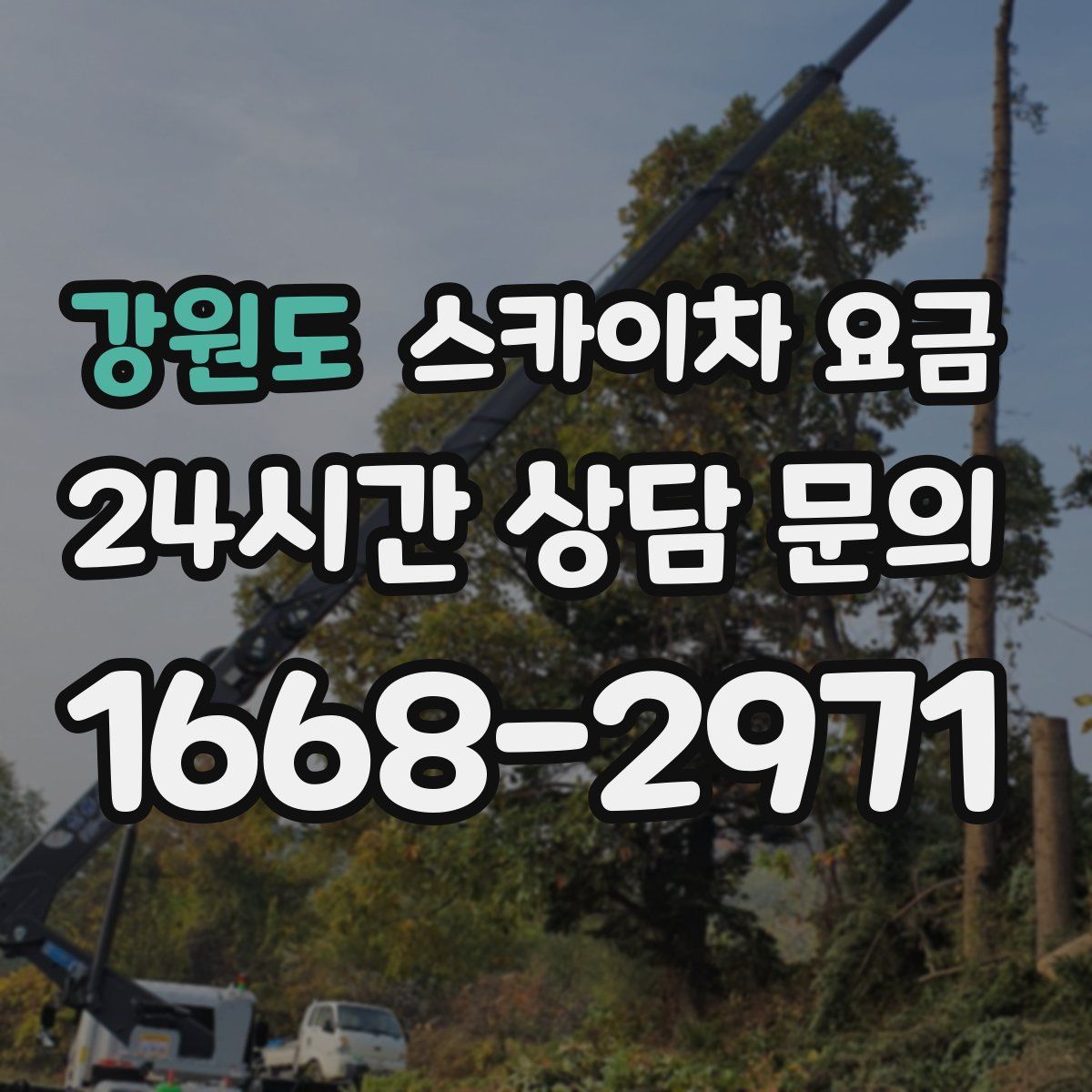 강원도 스카이차 요금
