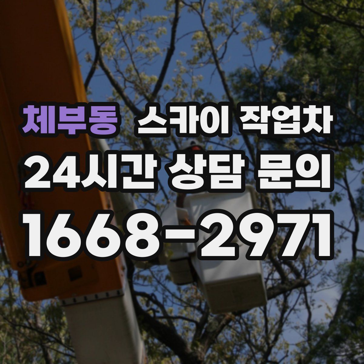 체부동 스카이 작업차