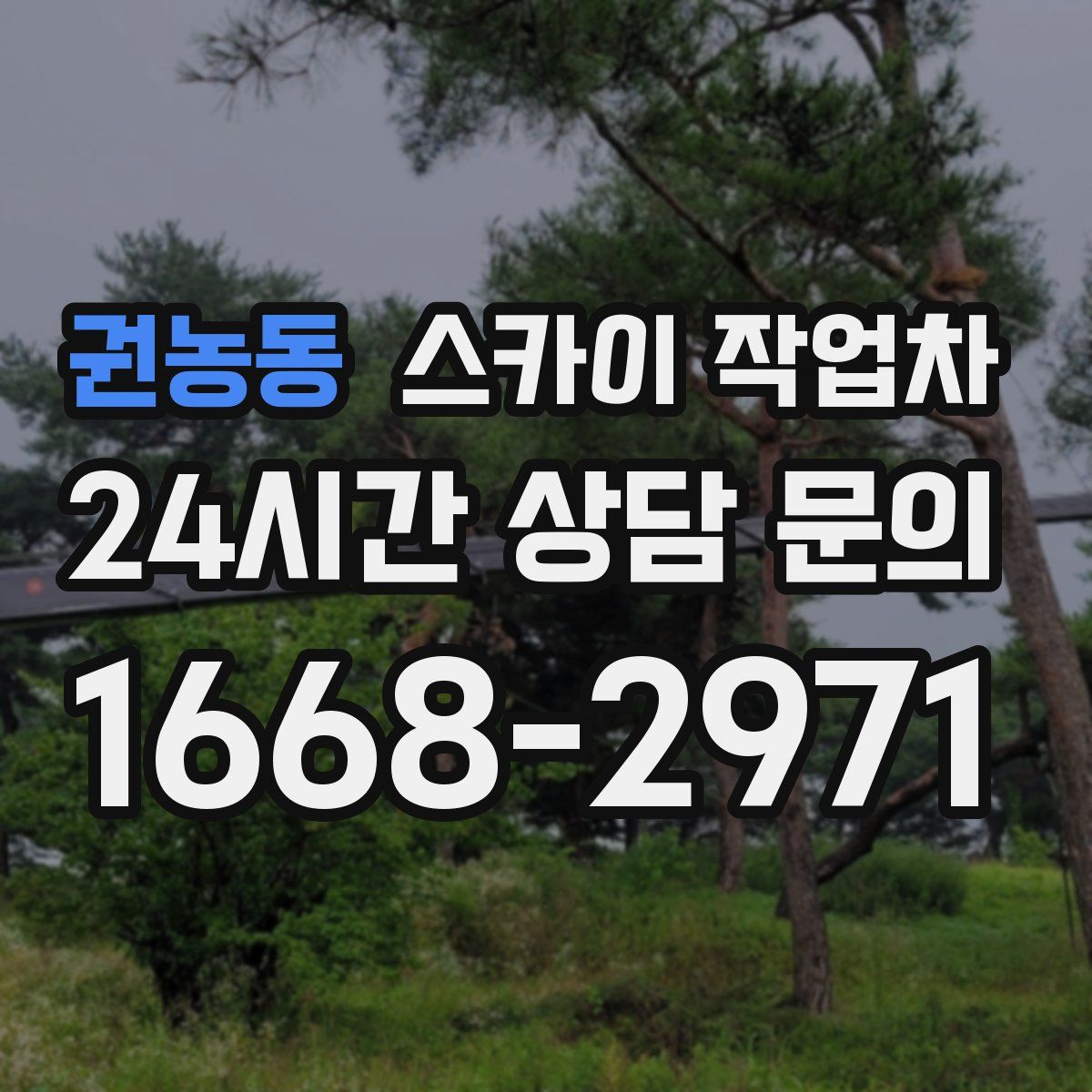 권농동 스카이 작업차