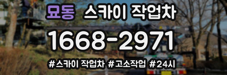 묘동 스카이 작업차